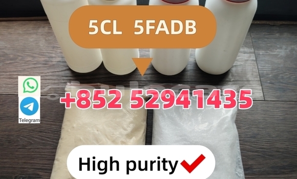 Medium with watermark 1