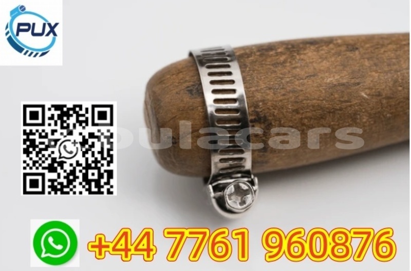 Big with watermark 5690eb31 b514 4ad5 86f0 4747217bbfad %e5%89%af%e6%9c%ac