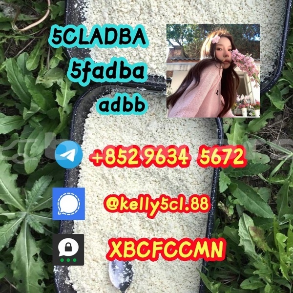 Big with watermark 1 3 