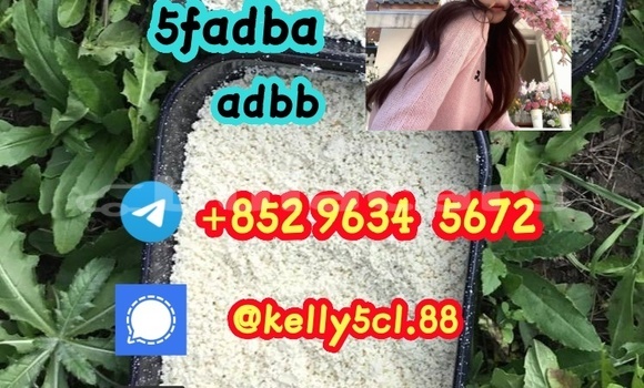 Medium with watermark 1 3 