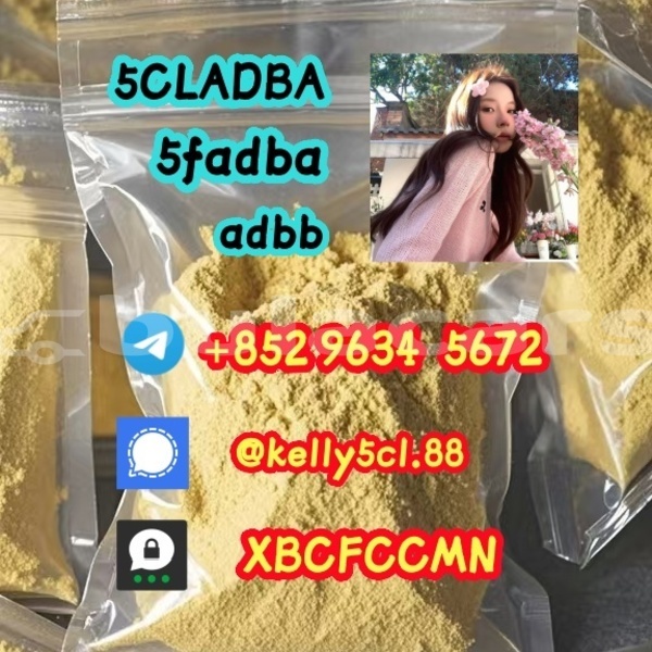 Big with watermark 1 4 