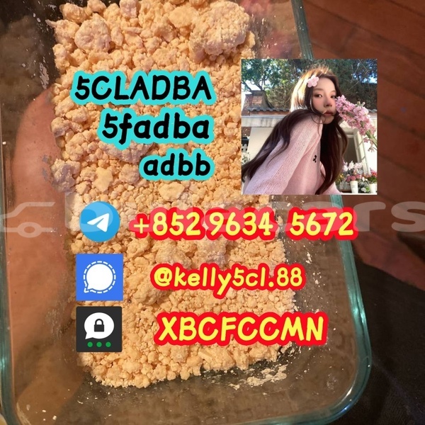 Big with watermark 1 10 