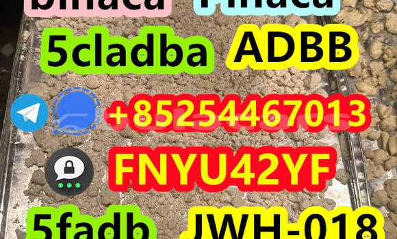 Buy New AC Ace Black Car in Barotu in Western Buy New AC Ace Black Car in Barotu in Western