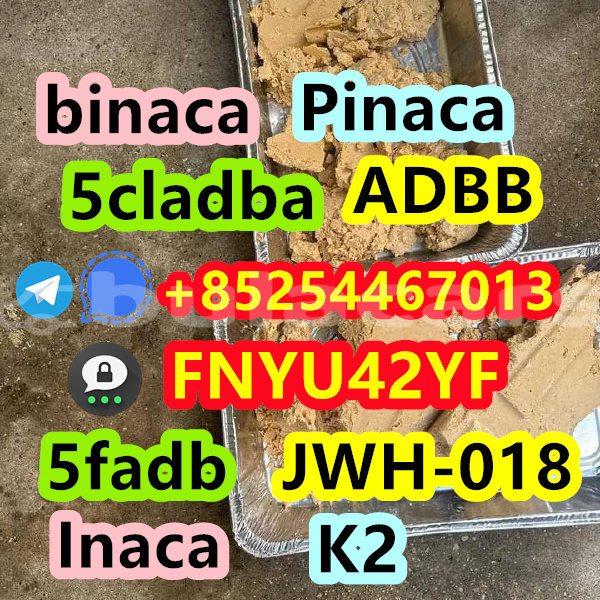 Big with watermark ac aceca central deuba 14901