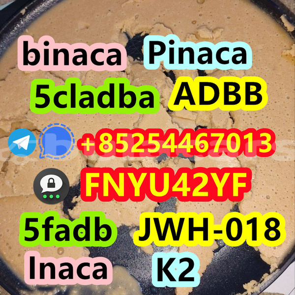 Big with watermark ac aceca central deuba 14901