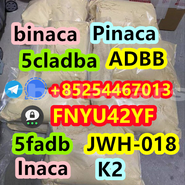 Big with watermark ac aceca central deuba 14901