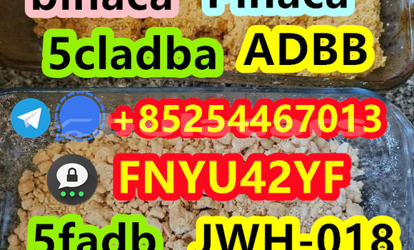 Buy New Acura EL Blue Car in Deuba in Central