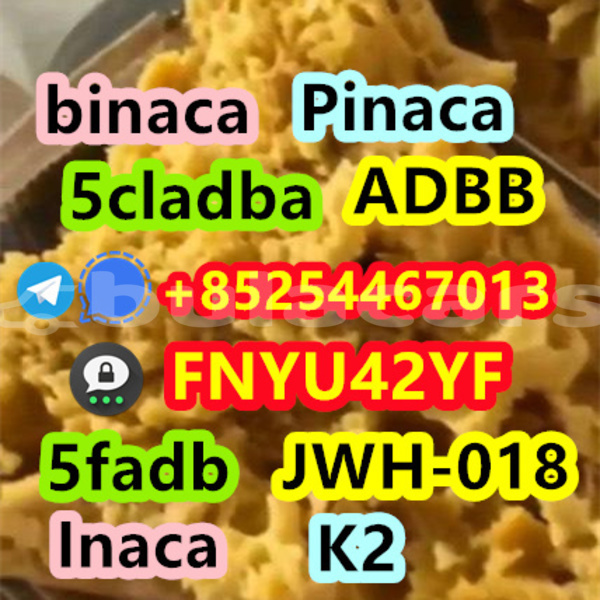 Big with watermark acura el central deuba 14903