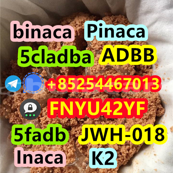 Big with watermark alpina b3 western komave 14905