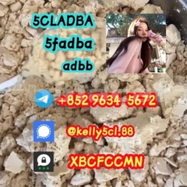 Big with watermark 1 16 