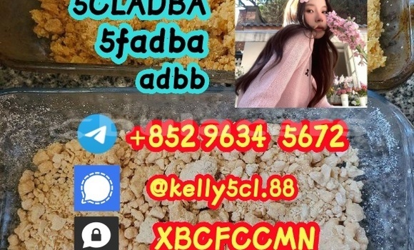 Medium with watermark 1 40 