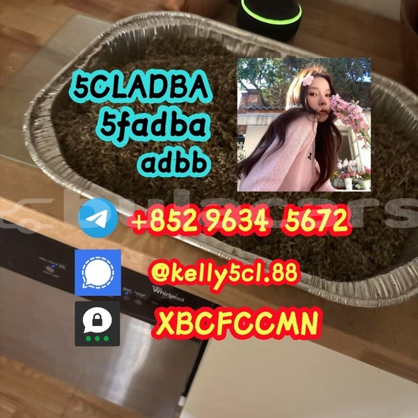 Big with watermark 1 43 