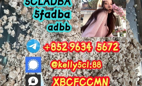 Medium with watermark 1 39 