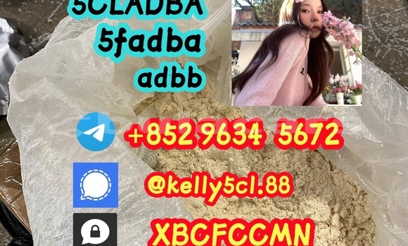 Medium with watermark 1 35 