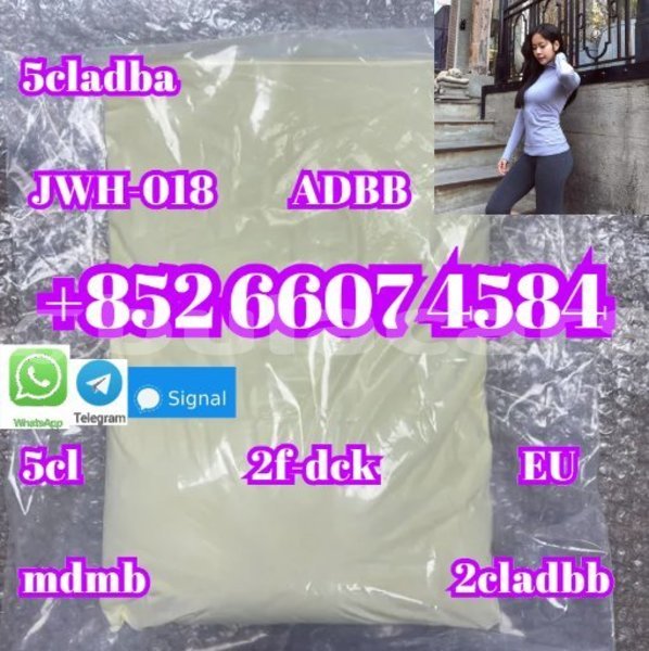 Big with watermark alpine a610 central import dubai 14954