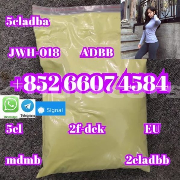 Big with watermark alpine a610 central import dubai 14954