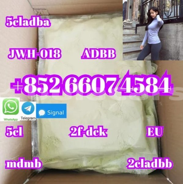 Big with watermark alpine a610 central import dubai 14954