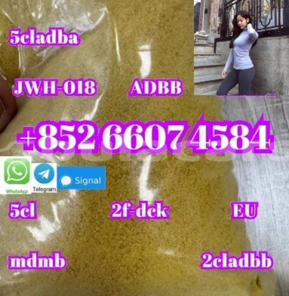 Big with watermark alpine a610 central import dubai 14954