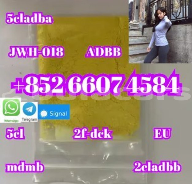 Big with watermark alpine a610 central import dubai 14954