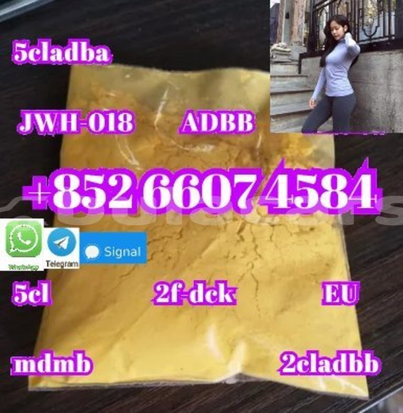 Big with watermark alpine a610 central import dubai 14954