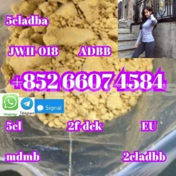 Big with watermark alpine a610 central import dubai 14956