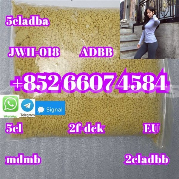 Big with watermark alpine a610 central import dubai 14956