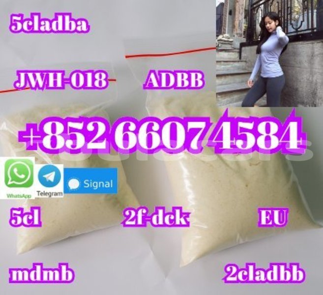 Big with watermark alpine a610 central import dubai 14956