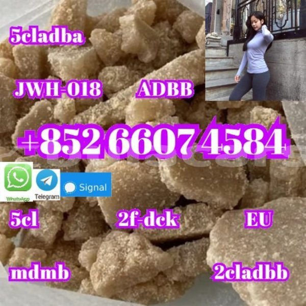 Big with watermark alpine a610 central import dubai 14956