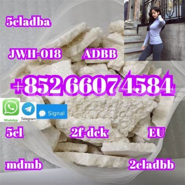 Big with watermark alpine a610 central import dubai 14956