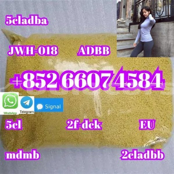 Big with watermark alpine a610 central import dubai 14956