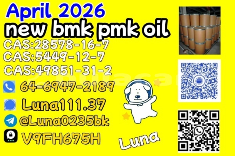 Big with watermark abarth 500 western ba 14957