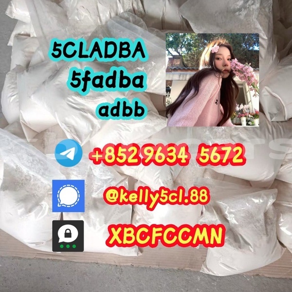 Big with watermark 1 31 