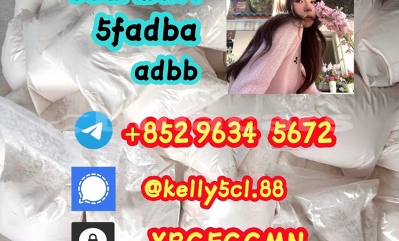 Medium with watermark 1 31 