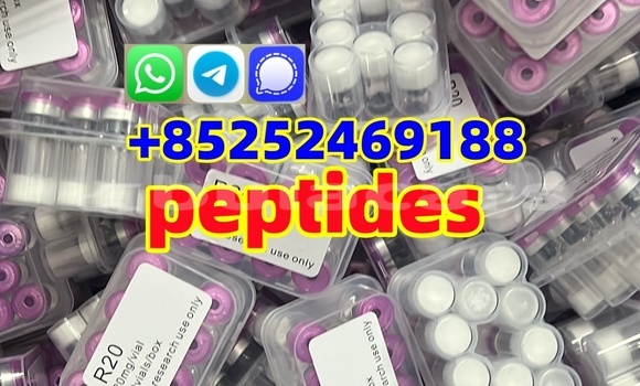 Medium with watermark b6340f99 60bf 4d21 8a23 85c28e523b9b %e5%89%af%e6%9c%ac %e5%89%af%e6%9c%ac