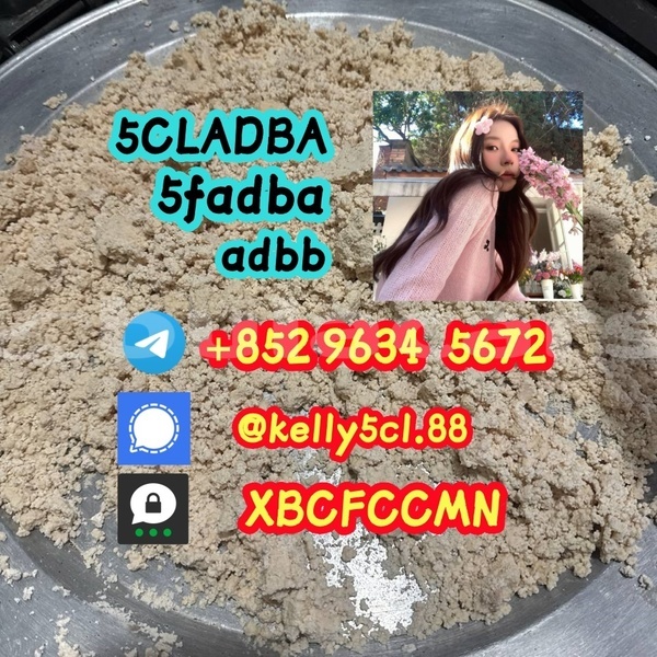 Big with watermark 1 29 