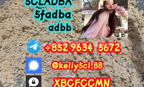 Medium with watermark 1 29 