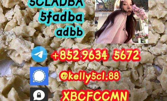 Medium with watermark 1 28 