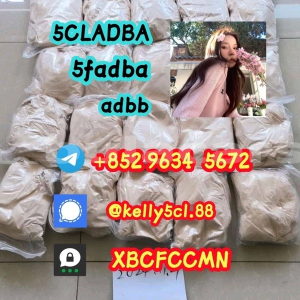 Big with watermark 1 27 