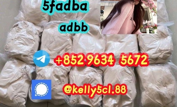 Medium with watermark 1 27 