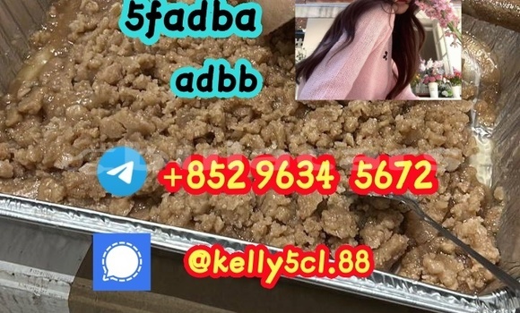 Medium with watermark 1 26 