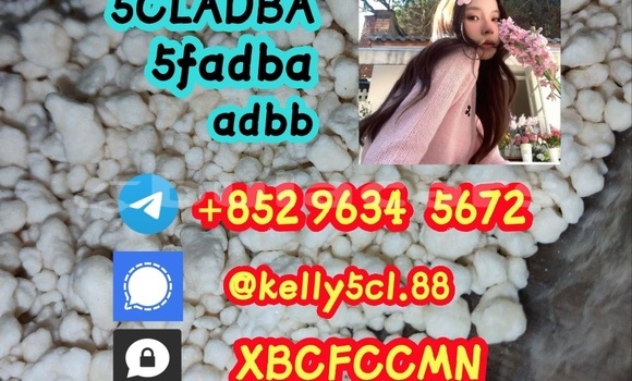 Medium with watermark 1 25 