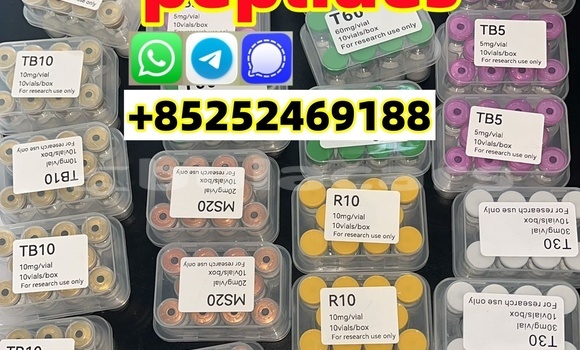 Medium with watermark e7e82625 f330 4d1a ad28 3514b1382fd8 %e5%89%af%e6%9c%ac %e5%89%af%e6%9c%ac