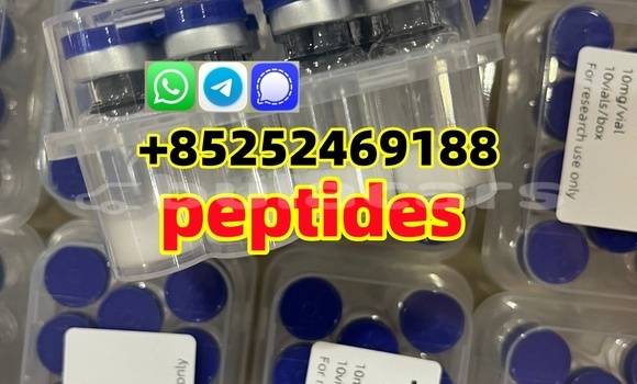 Medium with watermark f9cdc9ac 63c2 4429 93c9 f6cd1400fd3d %e5%89%af%e6%9c%ac %e5%89%af%e6%9c%ac