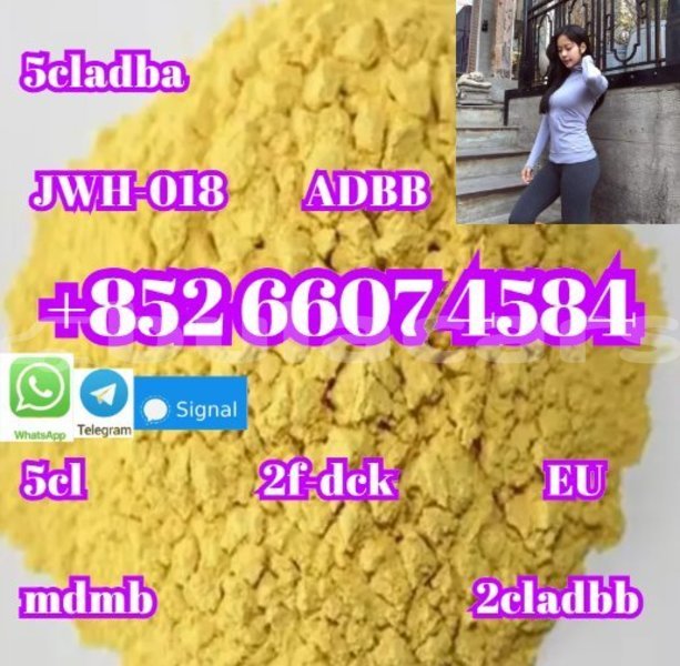 Big with watermark alpine a610 western komave 14977