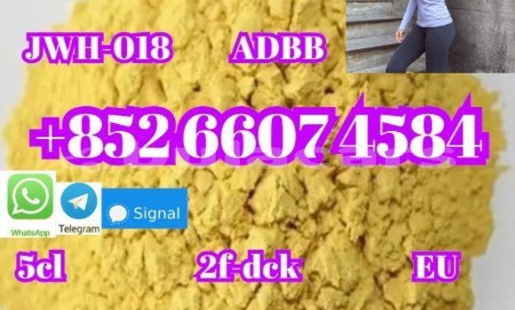 Acheter Neuf Voiture Alpine A610 Bleu à Komave, Western