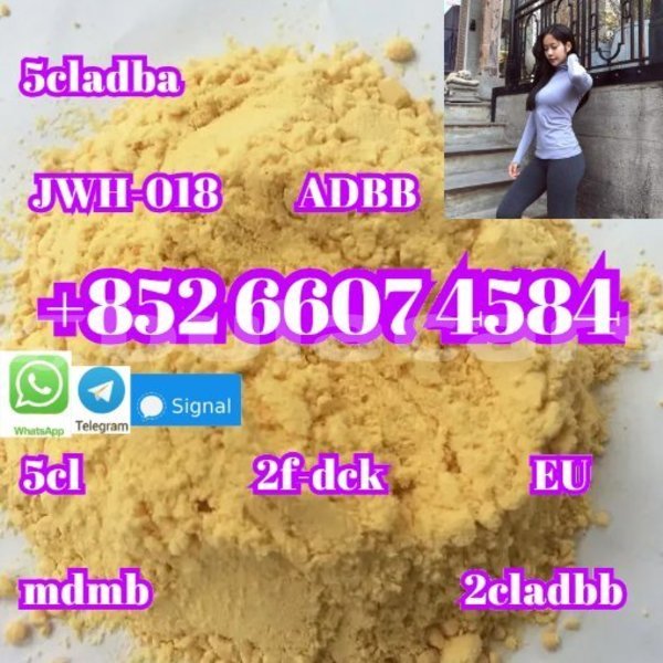 Big with watermark alpine a610 western komave 14977