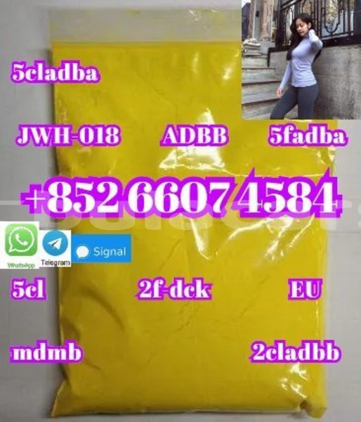 Big with watermark alpine a610 western komave 14977