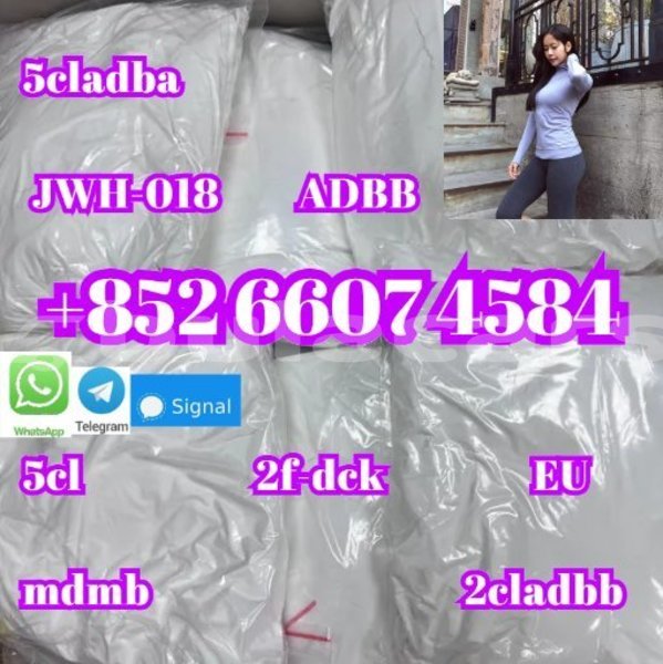 Big with watermark alpine a610 western komave 14977