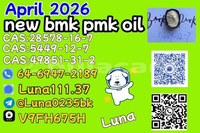 Big with watermark abarth 500 western ba 14979