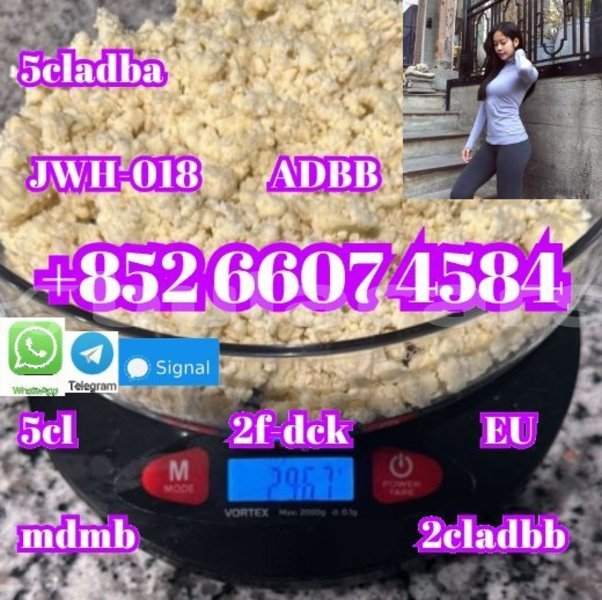 Big with watermark alfa romeo 147 central import dubai 14980